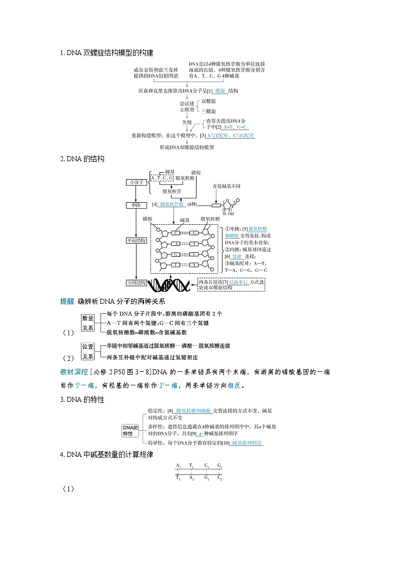 2025年高考生物精品教案第六章遗传的分子基础课时2DNA分子的结构、复制及基因的本质02