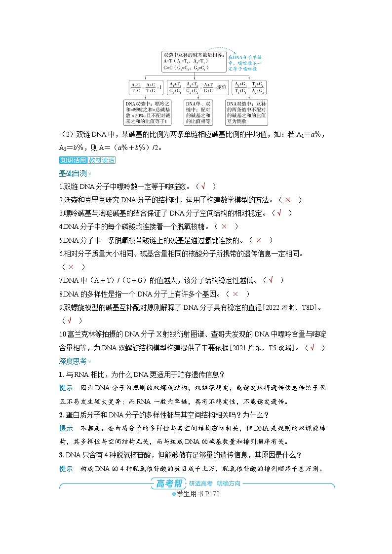 2025年高考生物精品教案第六章遗传的分子基础课时2DNA分子的结构、复制及基因的本质03