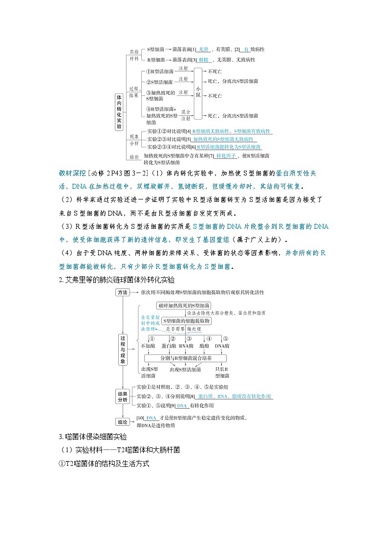 2025年高考生物精品教案第六章遗传的分子基础课时1DNA是主要的遗传物质第2页
