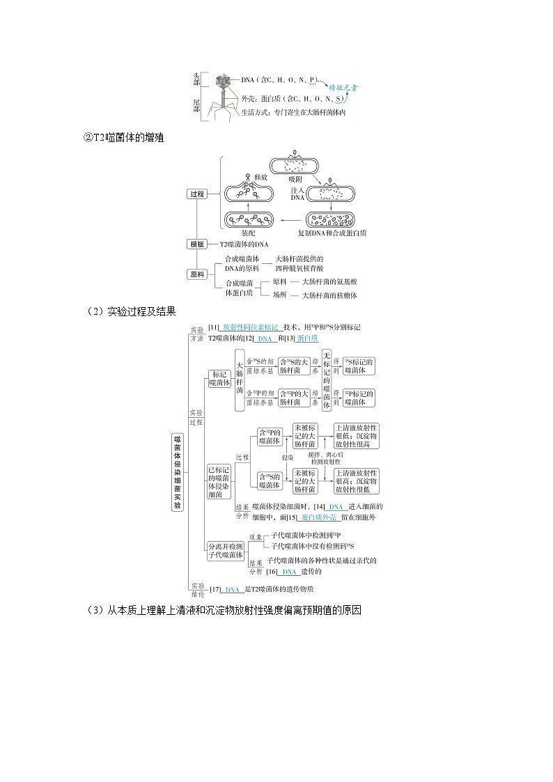 2025年高考生物精品教案第六章遗传的分子基础课时1DNA是主要的遗传物质第3页