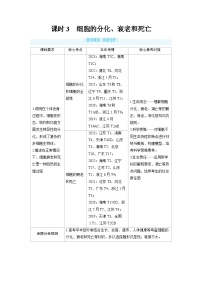 2025年高考生物精品教案第四章细胞的生命历程课时3细胞的分化、衰老和死亡