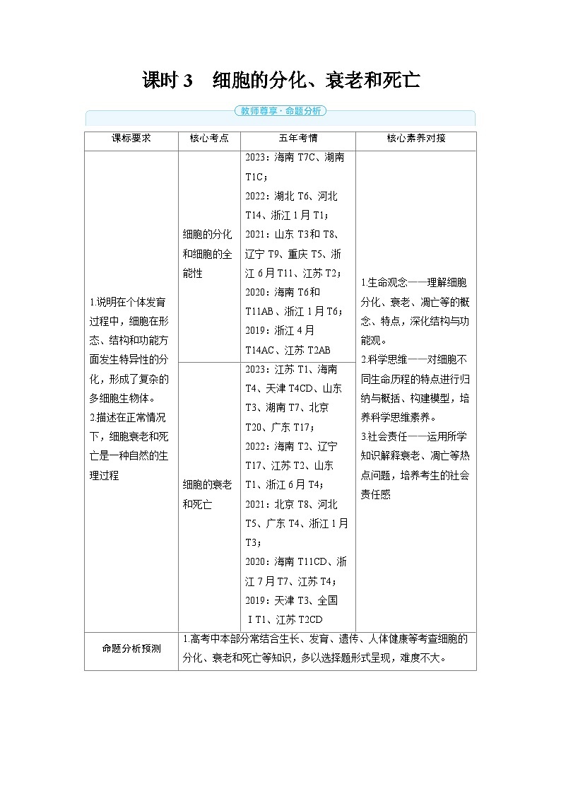 2025年高考生物精品教案第四章细胞的生命历程课时3细胞的分化、衰老和死亡01
