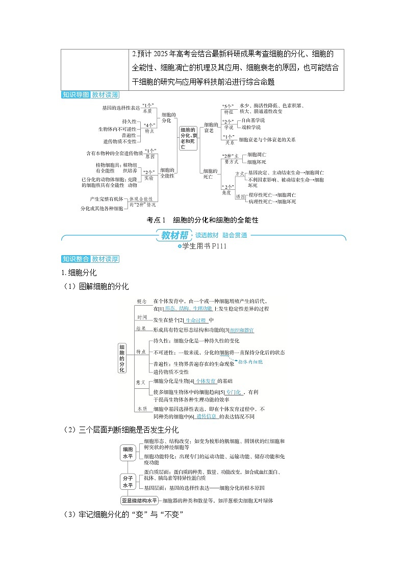 2025年高考生物精品教案第四章细胞的生命历程课时3细胞的分化、衰老和死亡02