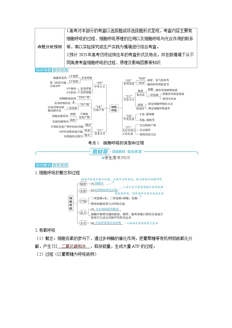 2025年高考生物精品教案第三章细胞代谢课时3细胞呼吸的原理和应用第2页