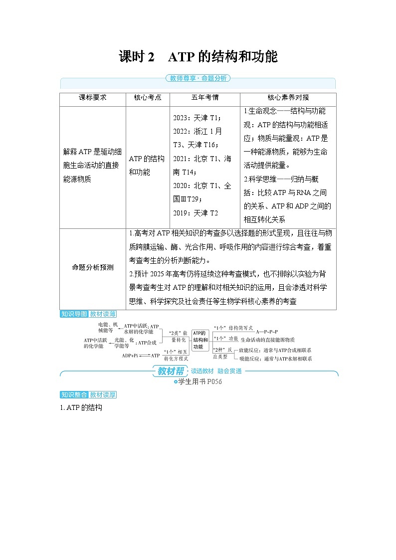 2025年高考生物精品教案第三章细胞代谢课时2ATP的结构和功能第1页