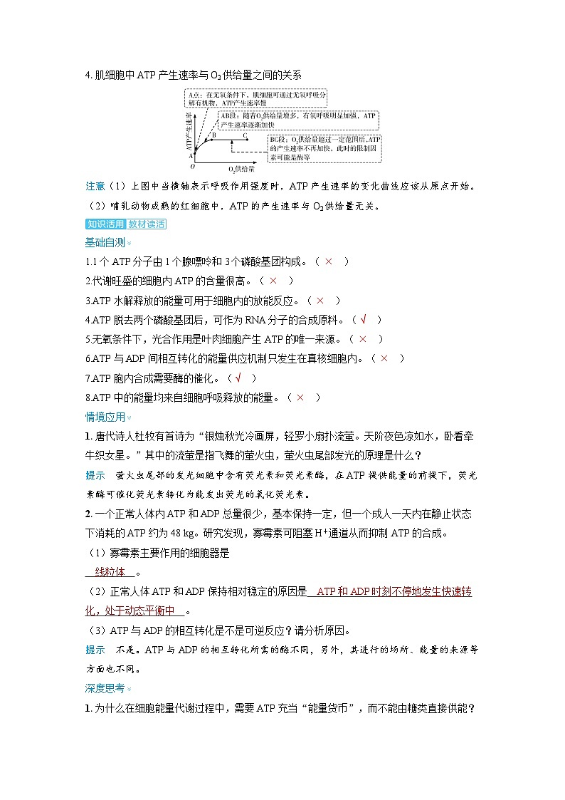 2025年高考生物精品教案第三章细胞代谢课时2ATP的结构和功能第3页