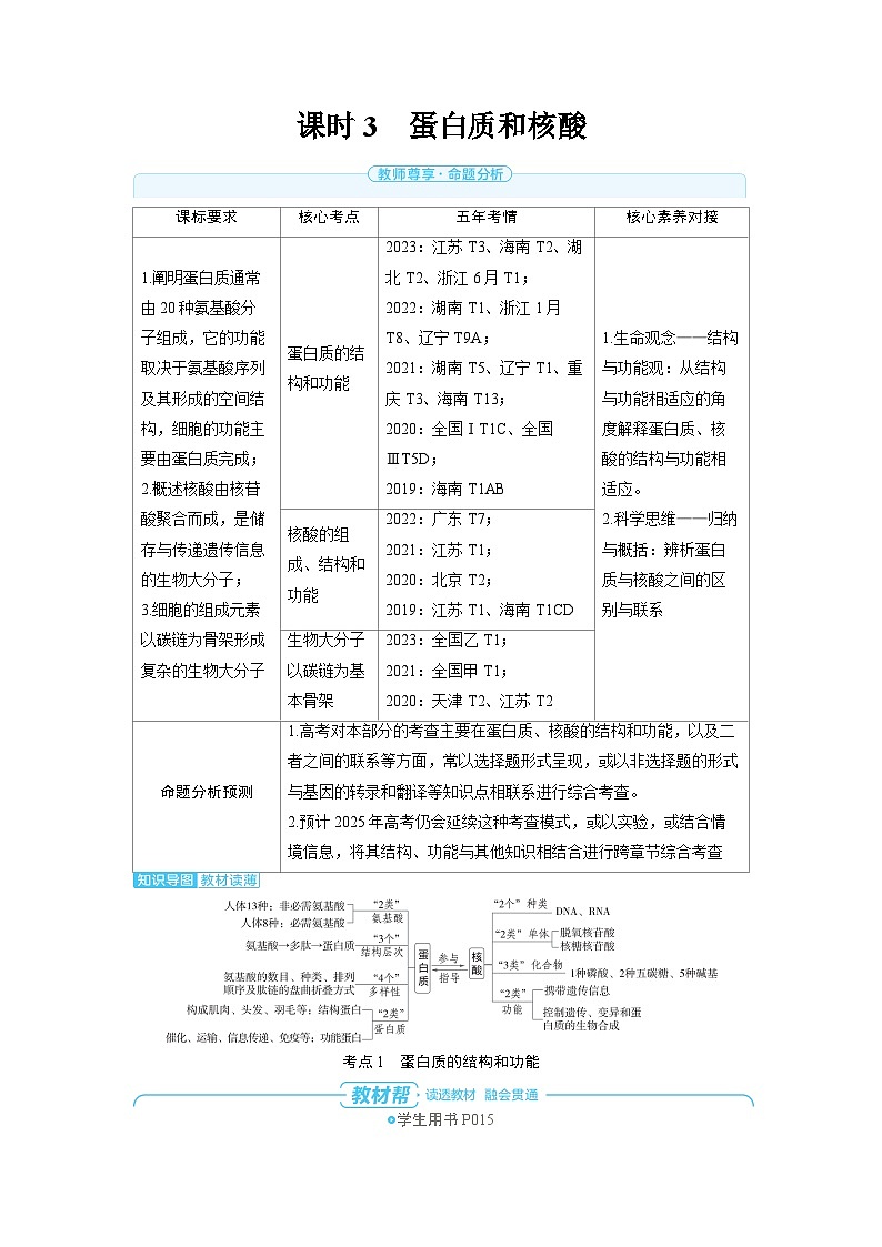 2025年高考生物精品教案第一章细胞的概述与分子组成课时3蛋白质和核酸第1页