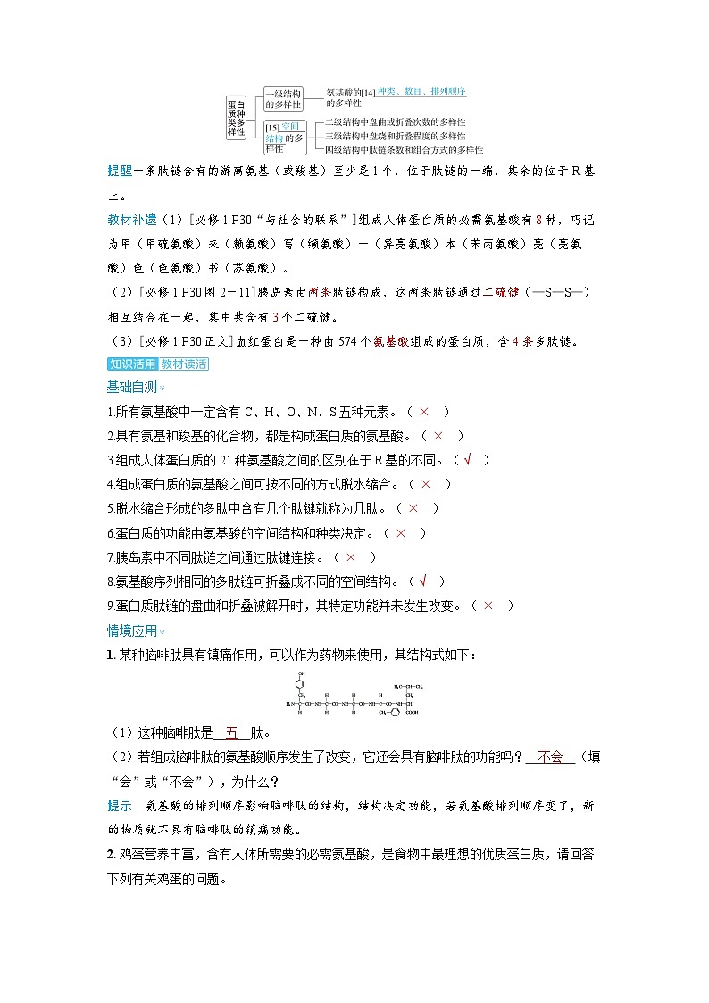 2025年高考生物精品教案第一章细胞的概述与分子组成课时3蛋白质和核酸第3页