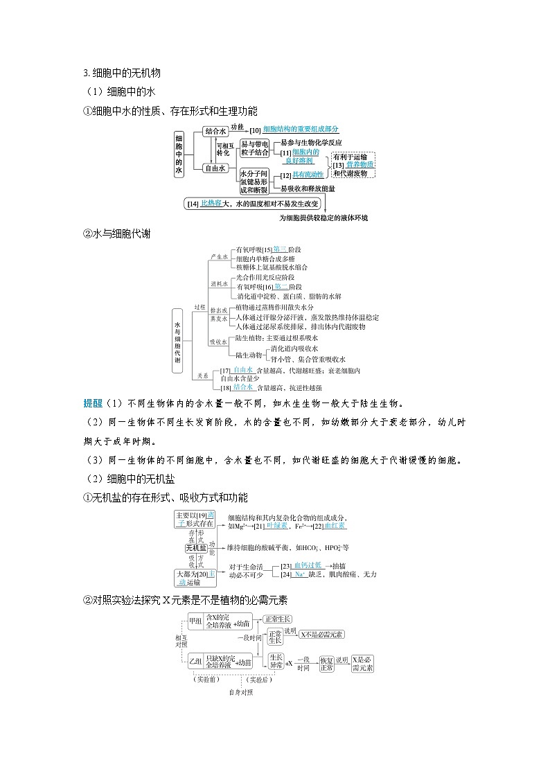 2025年高考生物精品教案第一章细胞的概述与分子组成课时2细胞中的无机物、糖类和脂质第3页