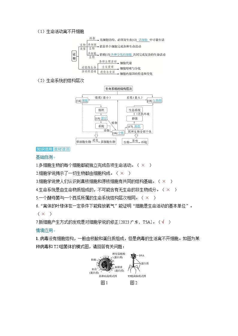 2025年高考生物精品教案第一章细胞的概述与分子组成课时1走近细胞第3页