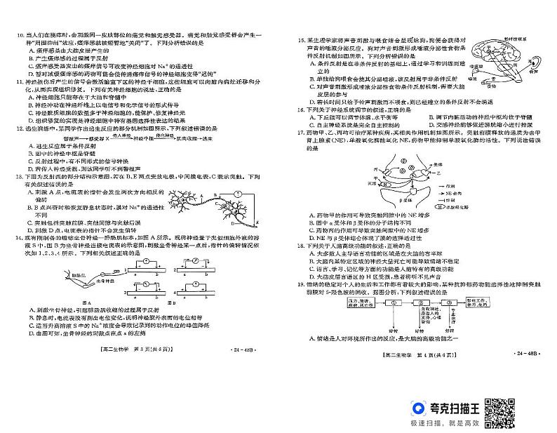 贵州省遵义市红花岗区2024-2025学年高二上学期开学生物试题02