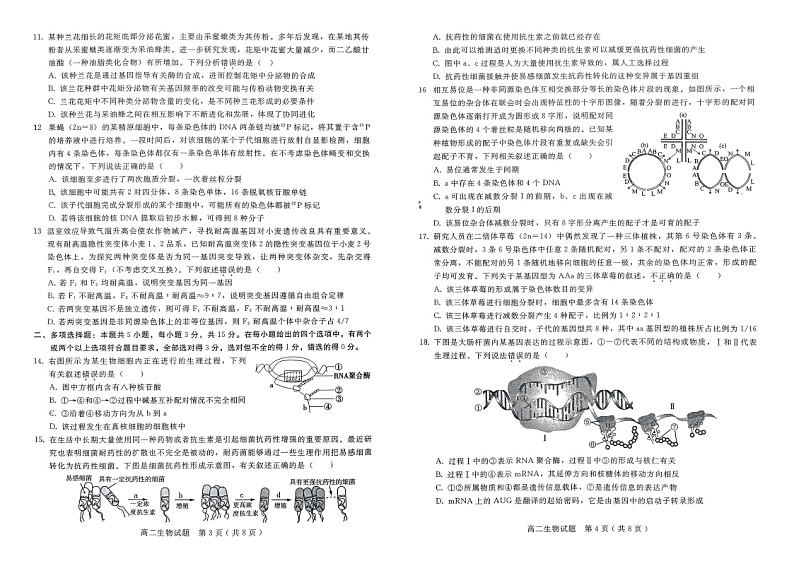 河北省邢台市信都区邢台市第一中学2024-2025学年高二上学期开学考试生物试题02