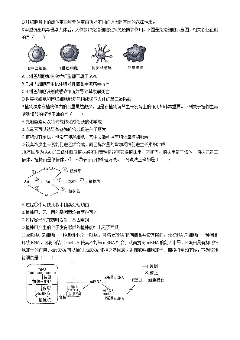 安徽省六校教育研究会2024-2025学年高三上学期9月入学素质测试生物试题03