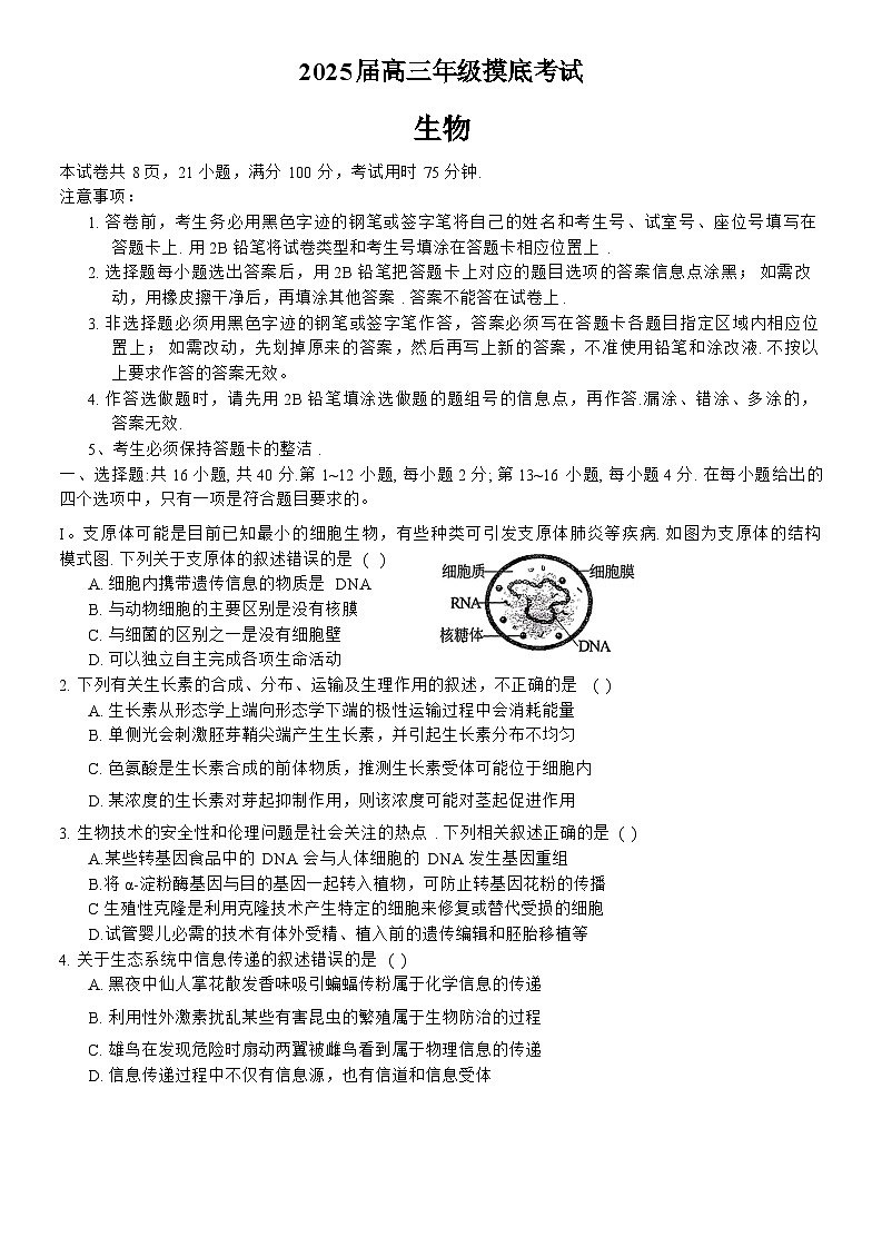 广东省深圳中学2024-2025学年高三上学期第一次摸底考试生物试题01