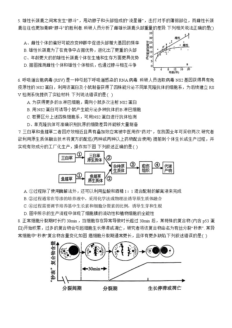 广东省深圳中学2024-2025学年高三上学期第一次摸底考试生物试题02