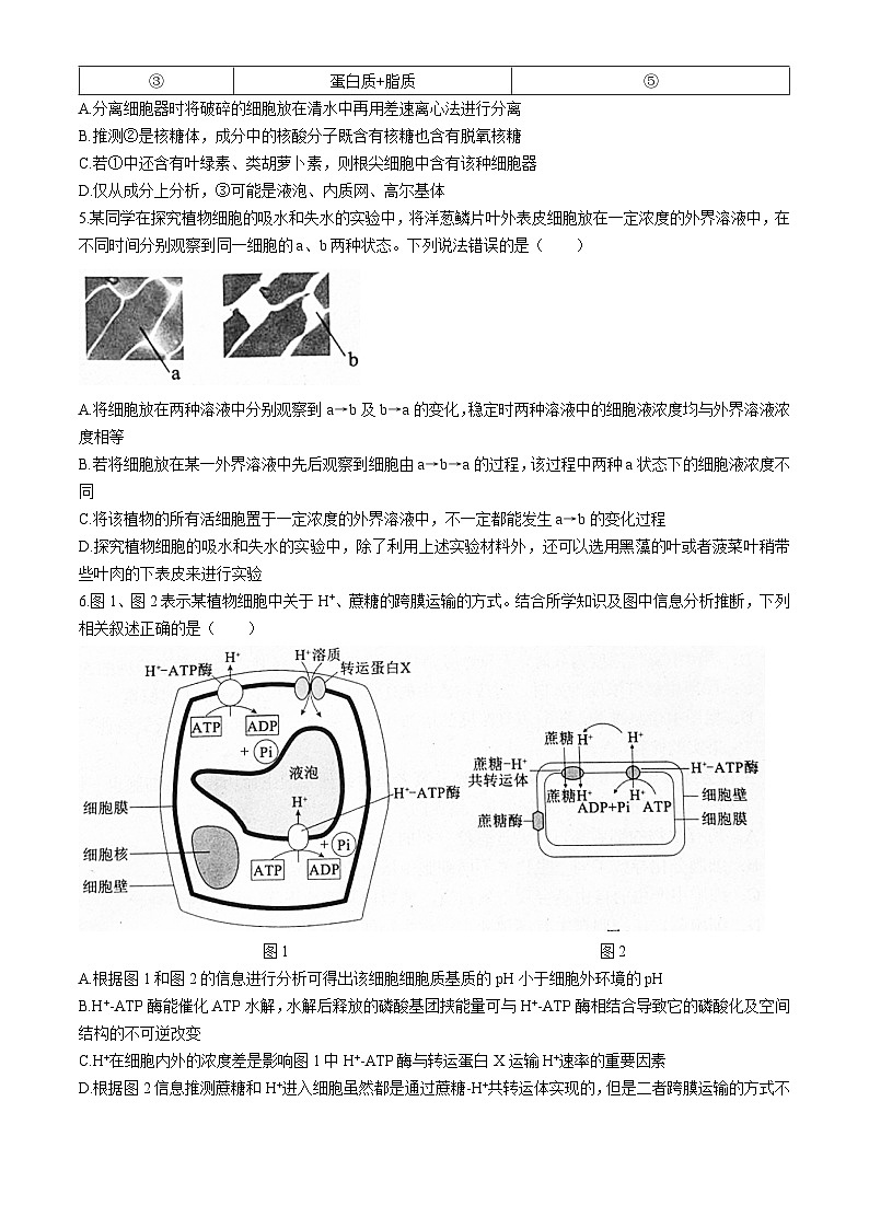 四川省成都市蓉城名校2024-2025学年高三上学期入学考试生物试卷（Word版附解析）02