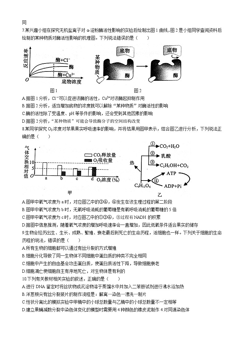 四川省成都市蓉城名校2024-2025学年高三上学期入学考试生物试卷（Word版附解析）03