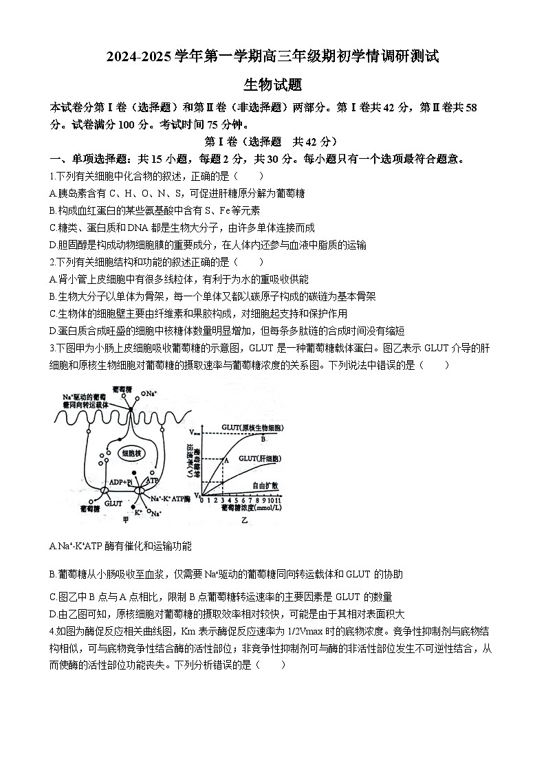 江苏省扬州市2024-2025学年高三上学期开学考试生物试卷（Word版附答案）01
