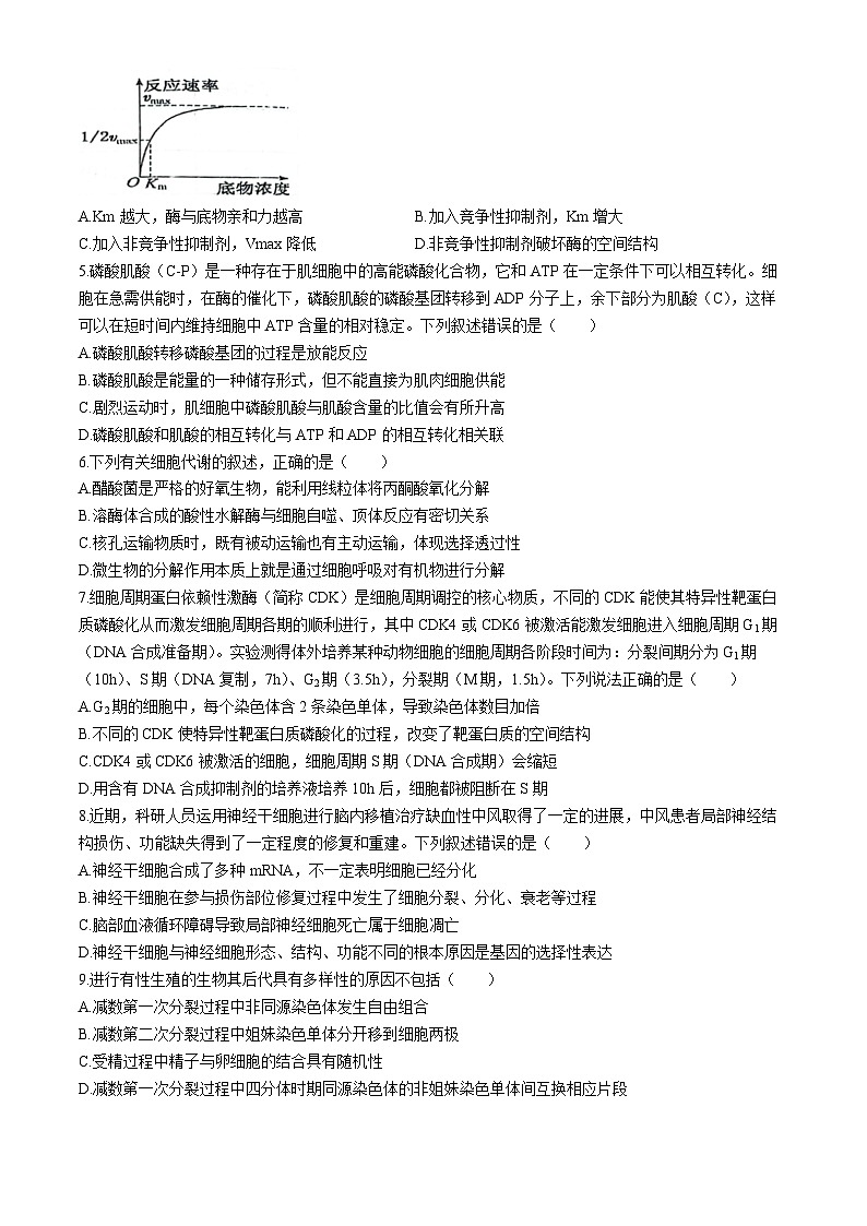 江苏省扬州市2024-2025学年高三上学期开学考试生物试卷（Word版附答案）02