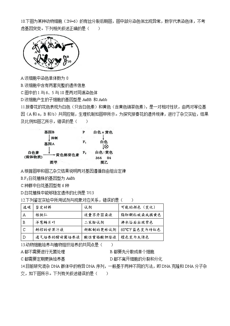 江苏省扬州市2024-2025学年高三上学期开学考试生物试卷（Word版附答案）03