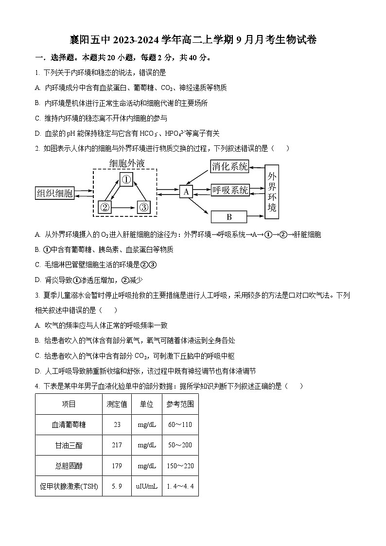 湖北省襄阳市第五中学2023-2024学年高二上学期9月月考生物试卷（Word版附解析）01