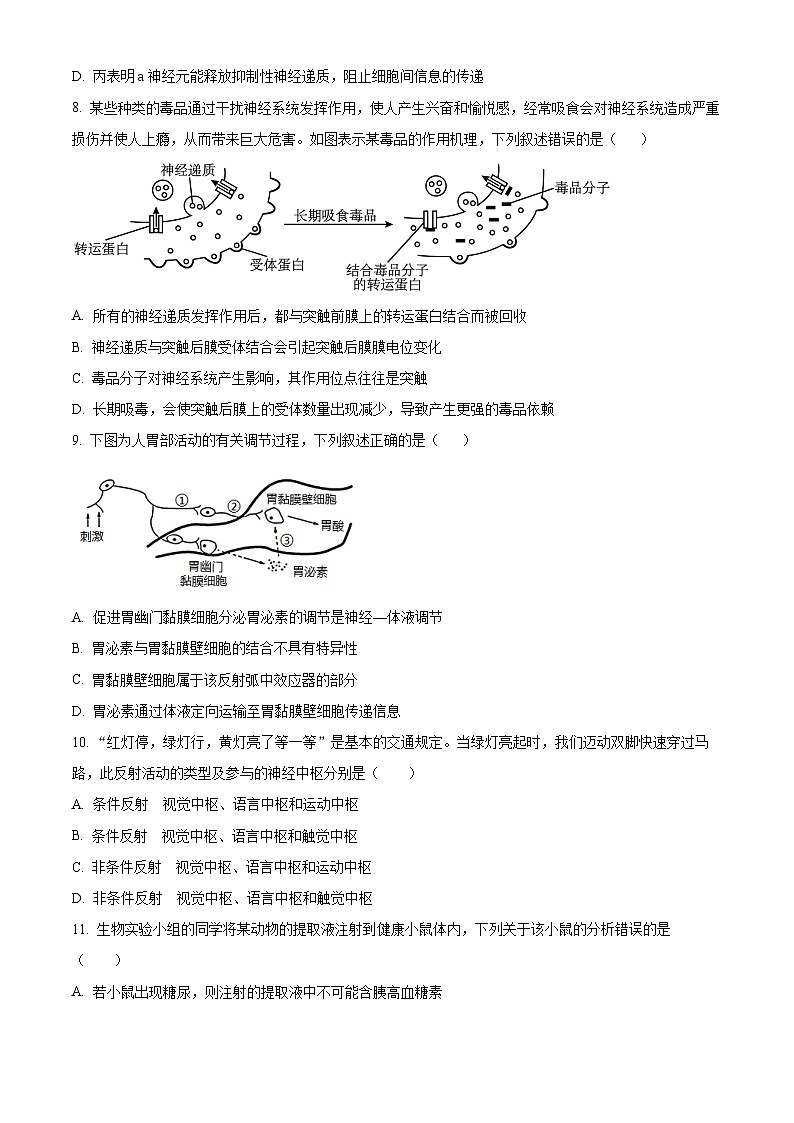 湖北省襄阳市第五中学2023-2024学年高二上学期9月月考生物试卷（Word版附解析）03