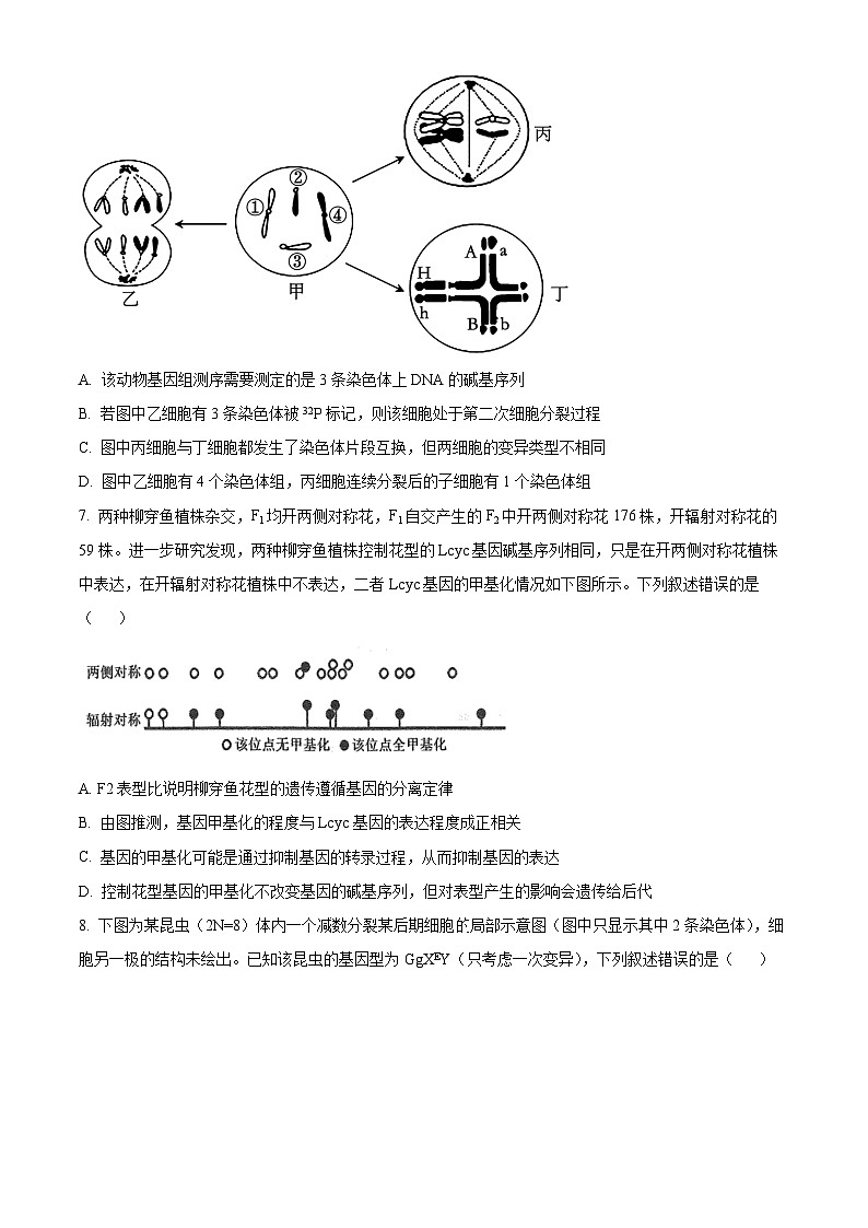湖北省鄂东南三校2024-2025学年高二上学期开学联考生物试卷（Word版附解析）03