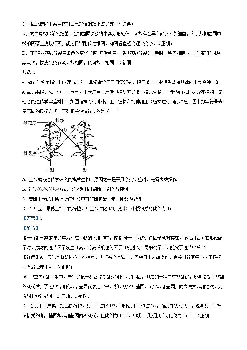 湖北省鄂东南三校2024-2025学年高二上学期开学联考生物试卷（Word版附解析）03