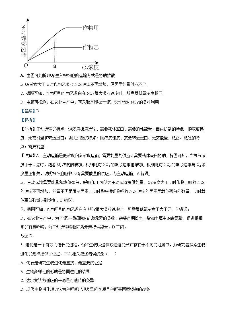 湖北省部分学校2025届高三上学期9月起点第一次联考（一模）生物试卷（Word版附解析）02