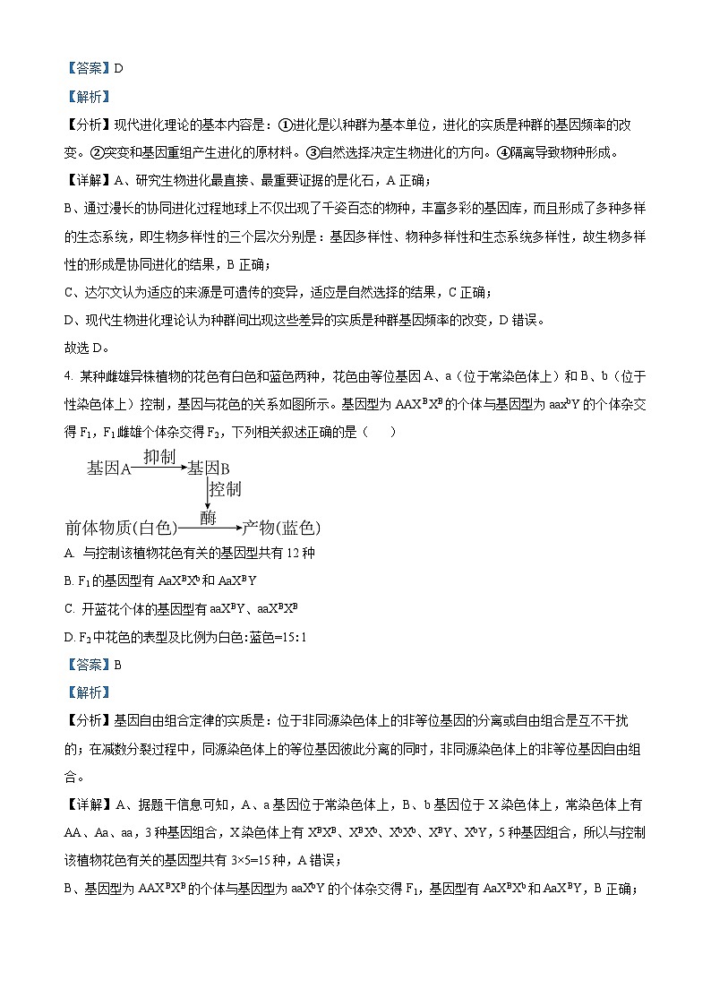 湖北省部分学校2025届高三上学期9月起点第一次联考（一模）生物试卷（Word版附解析）03