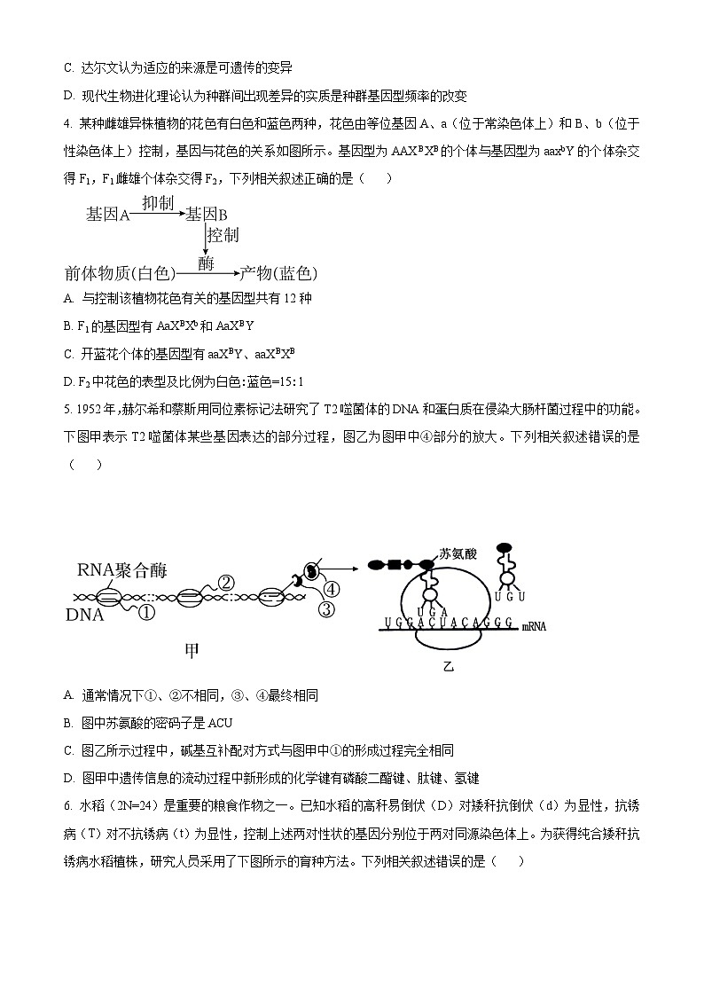湖北省部分学校2025届高三上学期9月起点第一次联考（一模）生物试卷（Word版附解析）02