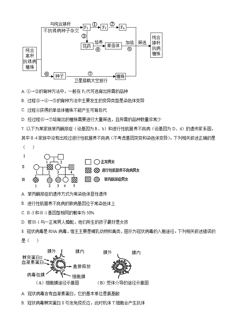 湖北省部分学校2025届高三上学期9月起点第一次联考（一模）生物试卷（Word版附解析）03