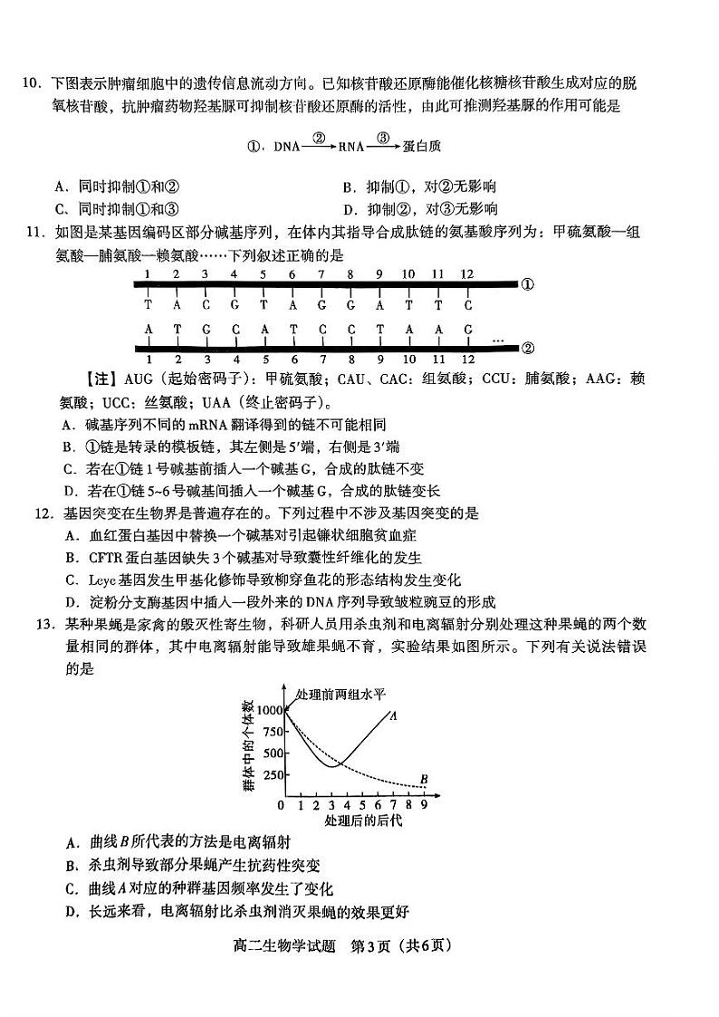 贵州省遵义市第四中学2024-2025学年高二上学期开学考试生物试题03