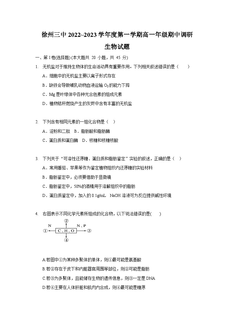 江苏省徐州市第三中学2022-2023学年高一上学期期中调研生物试题第1页