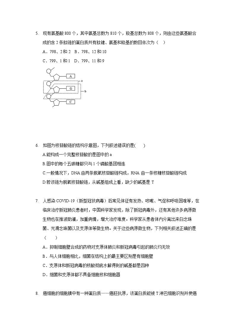 江苏省徐州市第三中学2022-2023学年高一上学期期中调研生物试题第2页
