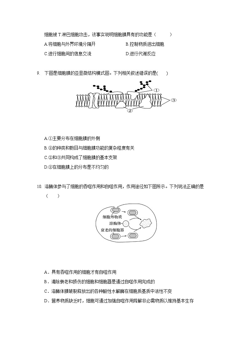 江苏省徐州市第三中学2022-2023学年高一上学期期中调研生物试题第3页