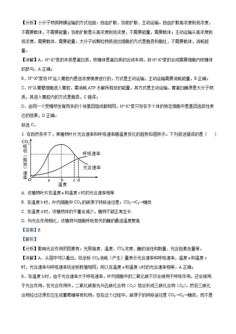 江西省南昌市2024-2025学年高三上学期9月摸底测试生物试题（解析版）02