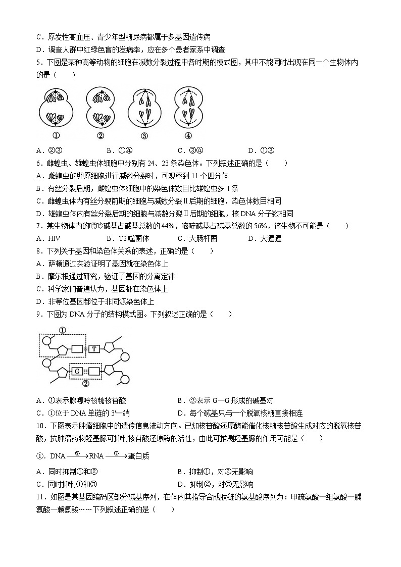 贵州省遵义市第四中学2024-2025学年高二上学期开学考试生物试题(无答案)02