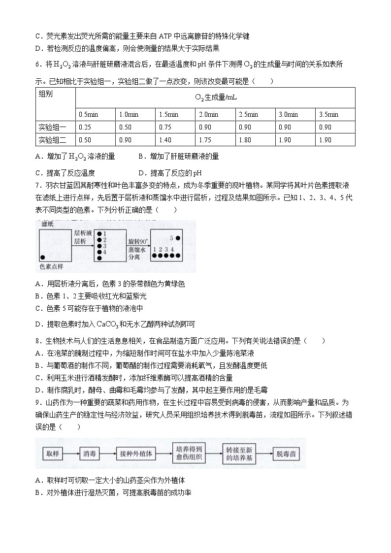 福建省名校联盟2024-2025学年高三上学期9月质量检测生物试题第2页