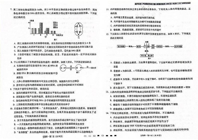 云南省昆明市寻甸回族彝族自治县寻甸回族彝族自治县民族中学2024-2025学年高三上学期9月月考生物试题02