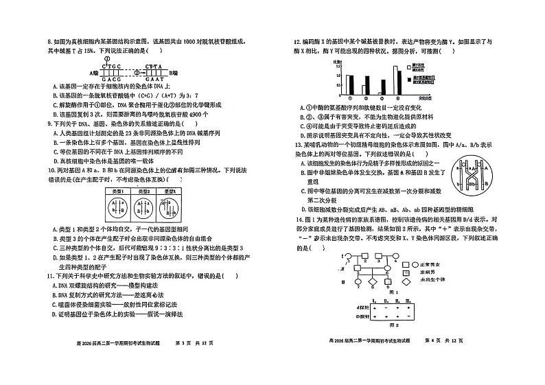 陕西师范大学附属中学2024-2025学年高二上学期开学考试生物试题02