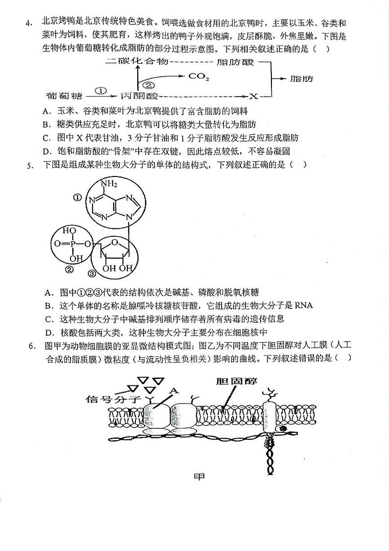 陕西省韩城市象山中学2024-2025学年高三上学期第一次月考生物试题02