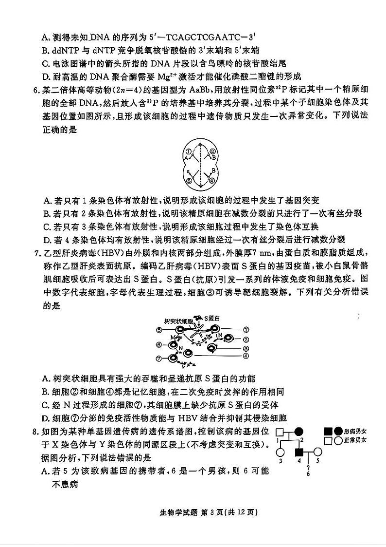 山东省衡水金卷2025届高三年级上学期九月摸底联考生物+答案第3页