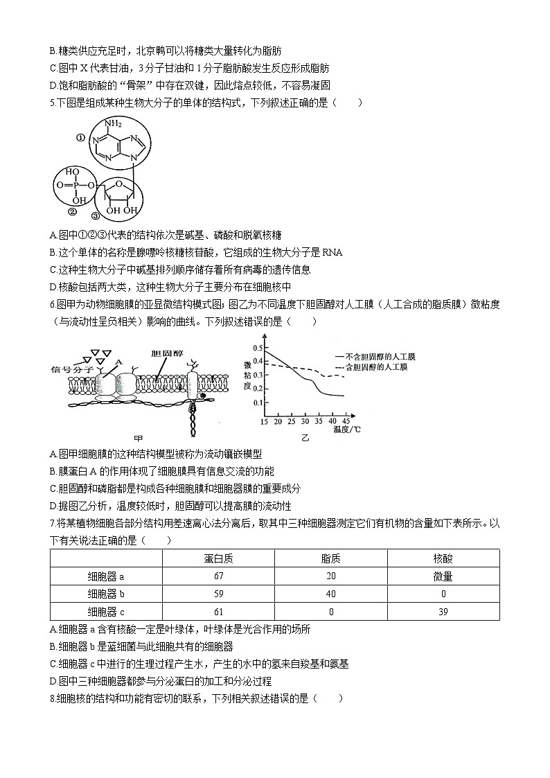 陕西省韩城市象山中学2024-2025学年高三上学期第一次月考生物试题(无答案)02