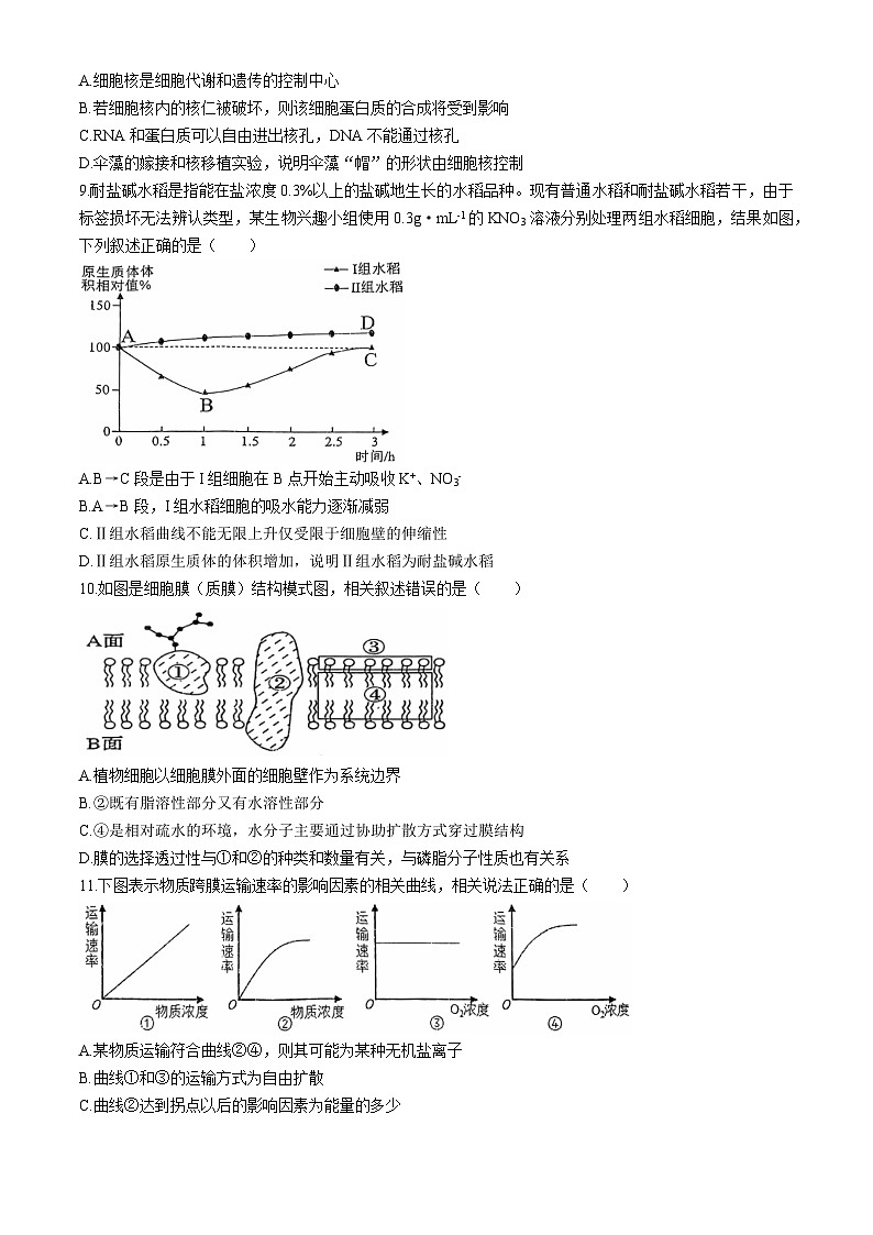 陕西省韩城市象山中学2024-2025学年高三上学期第一次月考生物试题(无答案)03