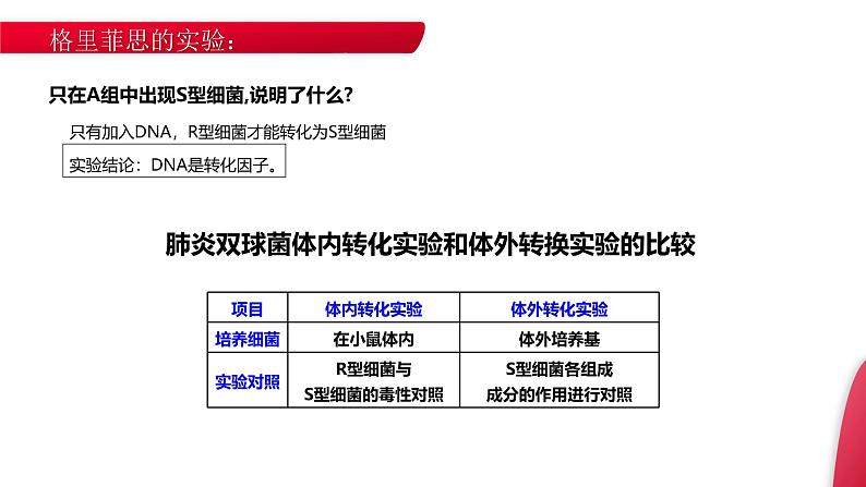 《DNA是主要的遗传物质》高一下册生物必修二PPT课件（第3.1课时）第7页