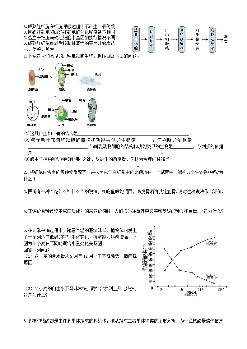 课后题专练 必修一-2024-2025学年高三生物人教版（2019）模拟练习第2页