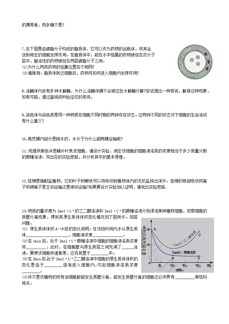课后题专练 必修一-2024-2025学年高三生物人教版（2019）模拟练习第3页