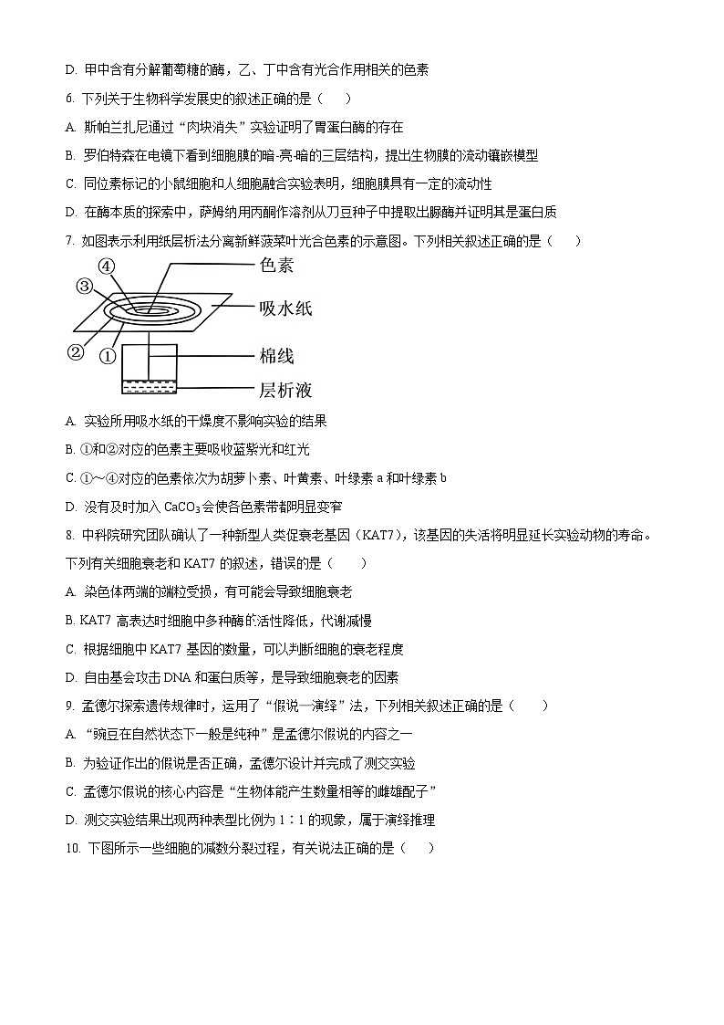 四川省泸州市泸县第五中学2024-2025学年高二上学期开学生物试题（原卷版+解析版）02