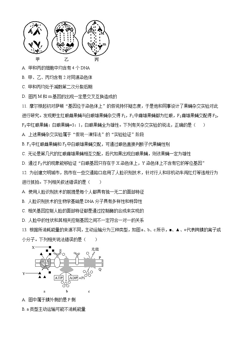 四川省泸州市泸县第五中学2024-2025学年高二上学期开学生物试题（原卷版+解析版）03